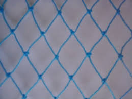 Main Product Image 2