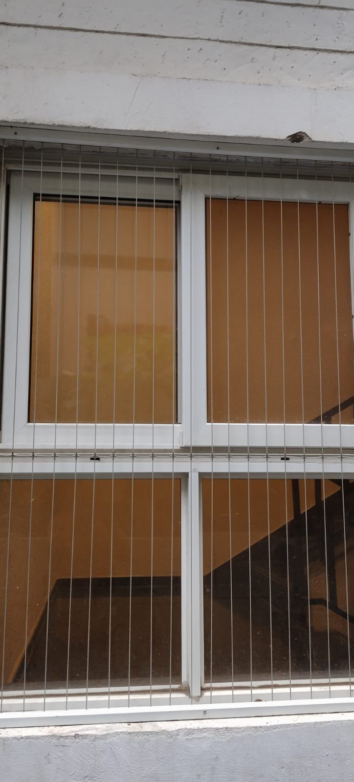 Invisible grill services